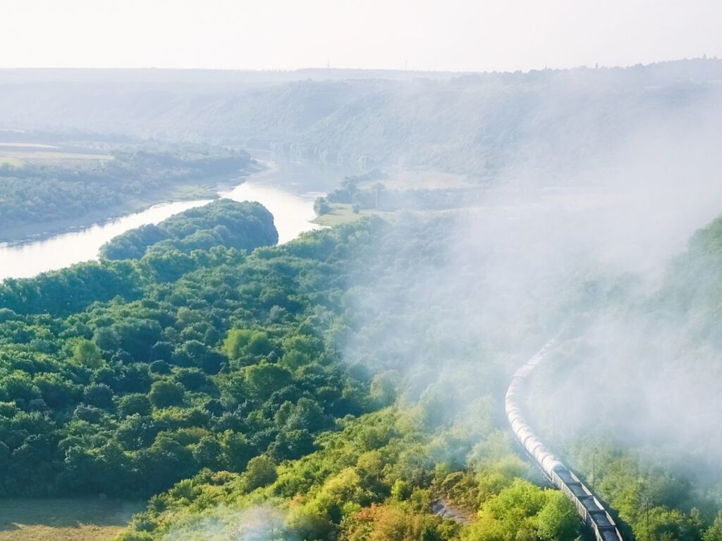 Trem passando pela mata