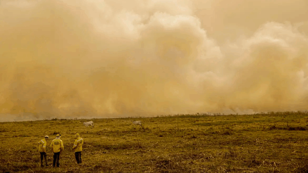 aquecimento global Três homens estão no pasto diante de longa fogueira que aparece no horizonte