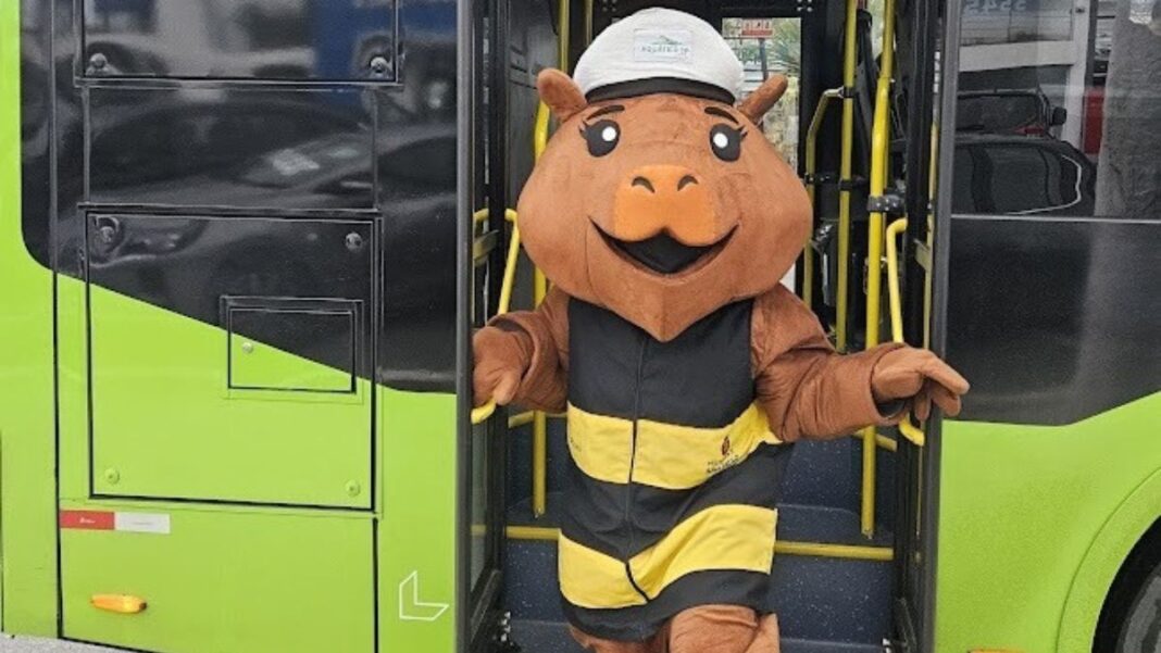 Capivara Capi Tânia