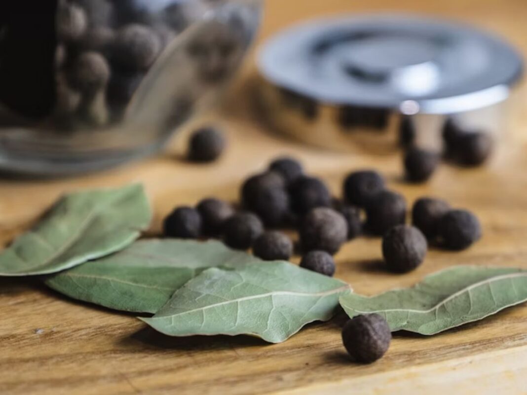 Chá de louro com cravo-da-índia: veja 4 benefícios poderosos