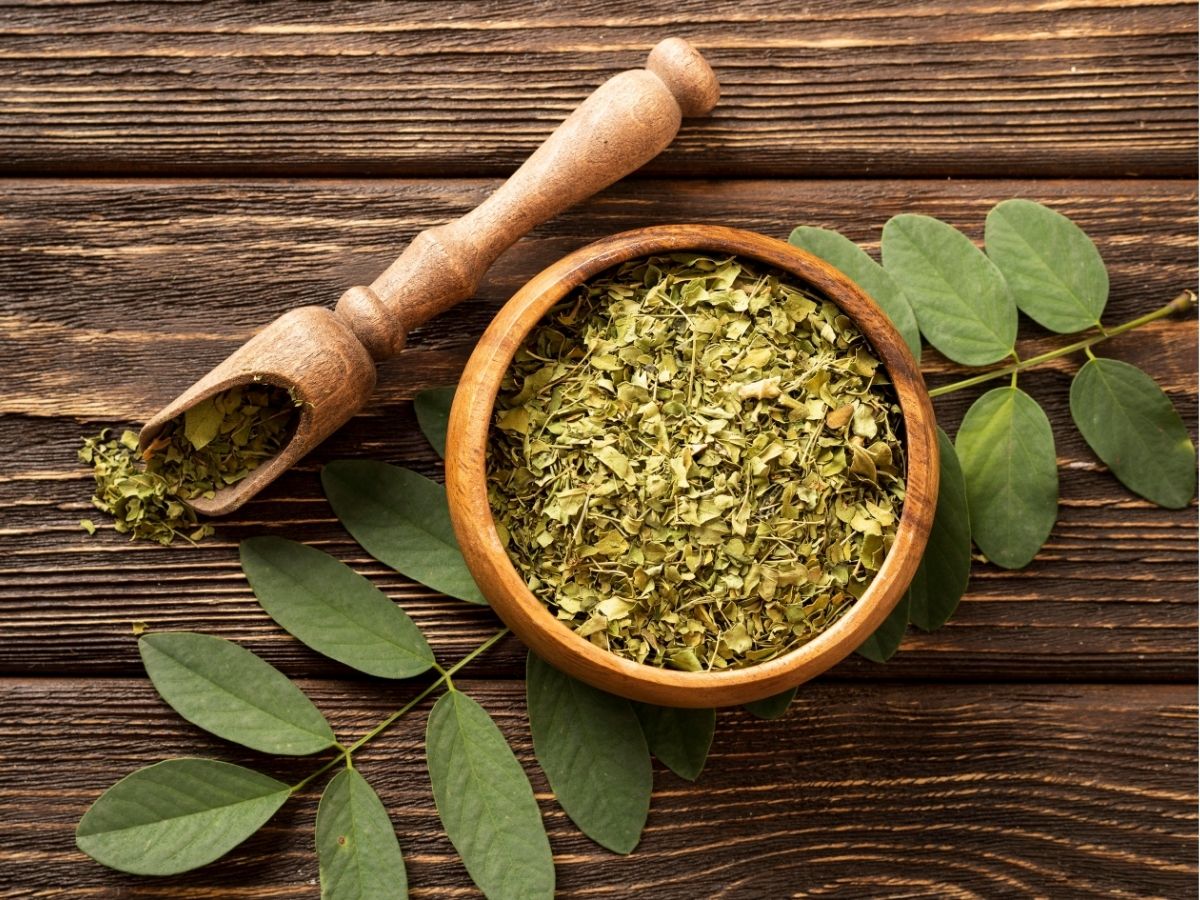 Planta triturada em pequeno pote.